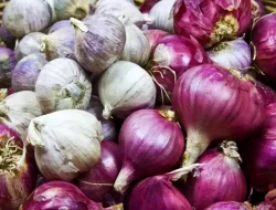 Cegah Bau Ketiak dengan Menghindari 6 Makanan Ini, Batasi Konsumsinya!