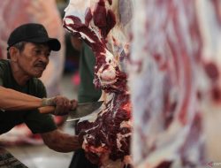 “Zat Besi Heme dan Ancaman Diabetes Tipe 2: Apa yang Perlu Diwaspadai?”