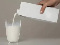 IDAI Menegaskan Anak-anak Bisa Terkena Diabetes Akibat Gaya Hidup yang Tidak Sehat, Bukan Karena Minum Susu UHT