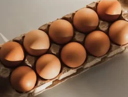 Perbedaan Mendasar antara Telur Ayam Negeri dan Telur Ayam Omega