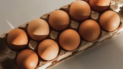 Perbedaan Mendasar antara Telur Ayam Negeri dan Telur Ayam Omega