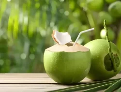 5 Manfaat Minum Air Kelapa pada waktu Perut Kosong, Bisa Melarutkan Batu Ginjal
