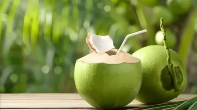 5 Manfaat Minum Air Kelapa pada waktu Perut Kosong, Bisa Melarutkan Batu Ginjal