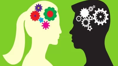 Apakah Otak Pria serta Wanita Berbeda?