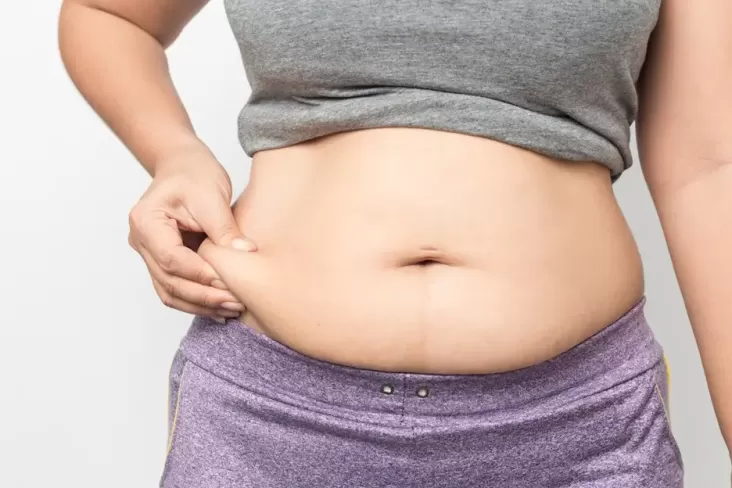 Tidak Makan Nasi tapi Berat Badan Tetap Naik? Hal ini adalah Penyebabnya