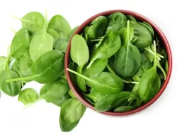 7 Makanan yang Menjadi Racun Jika Dipanaskan Kembali, Bahaya!