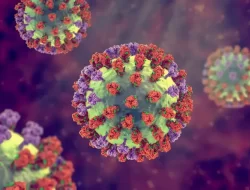 Waspada! Bayi di tempat Bawah Usia 1 Tahun Berisiko Tinggi Terkena Virus HMPV